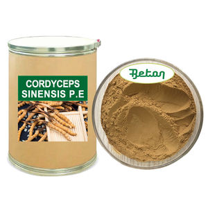 Пищевая добавка, экстракт грибов, порошок 10:1 20:1, кордицепс, порошок - Product Image 1