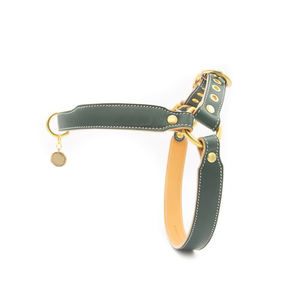 Sản Phẩm Cho Chó Mới Dây Nịt Thú Cưng 2022 Dây Nịt Chó Tùy Chỉnh Bằng Da Thật Thiết Kế Sang Trọng Của Nhà Sản Xuất - Product Image 3