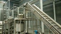 Sus304/316 Volledige Avocado-Verwerkingslijn Avocado/Palta/Alpukat Pulp Avocadosap Verwerkingsmachine Fruitverwerkingsmachine