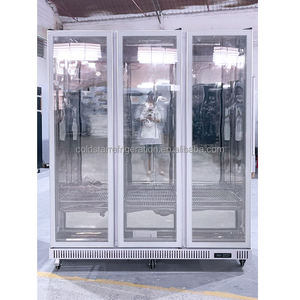 Refrigerador de Exhibición para Supermercados de 3 Puertas con Enfriamiento por Aire, Bajo Nivel de Ruido y Alta Demanda, Ideal para Cadenas de Tiendas - Product Image 1