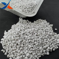 Masterbatch rempli de carbonate de calcium PP 450-25, poudre de dolomite, qualité film soufflé, qualité alimentaire pour contenants alimentaires jetables