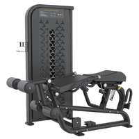 Machine d'entraînement rotative du tronc à charge par aiguille. Appareil d'exercice pour la rotation de la taille en position assise / équipement de renforcement du tronc