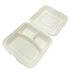 PFAS Free Eco Friendly To Go Box 10 Inch Sugarcane Clamshell Pulp Molded Packaging Clamshell