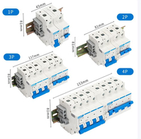 Disjoncteur différentiel (RCBO) CHNT NB2LE 230V 50HZ 6000A, protection contre les surcharges et les courts-circuits, neuf et original de Chine