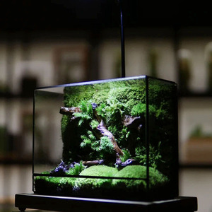 Ventilated Rectangular Glass Terrarium <strong>Tank</strong> with Metal Frame Reptile Habitat <strong>Gecko</strong> Enclosure or Indoor Plant Display - Product Image 5