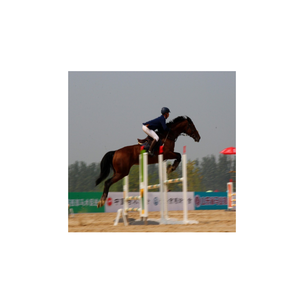 Highest Barriers to Frame Horse <strong>Jump</strong> Poles Horse <strong>Jump</strong> - Product Image 5