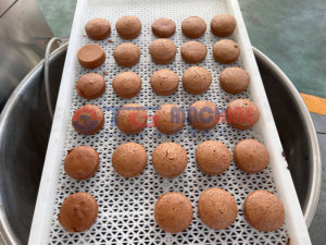 Cấp thực phẩm thép không gỉ Macaron bánh Dây chuyền sản xuất cho ngành công nghiệp bánh - Product Image 5