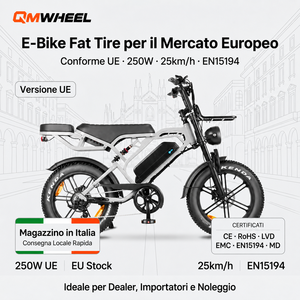 Bicicleta Eléctrica QMHEEL V20 Pro, 20 Pulgadas, Gran Autonomía, Bici Elettrica, Stock en Italia, UE, Venta al Por Mayor, Distribuidor de Fábrica, Envío Inmediato - Product Image 1