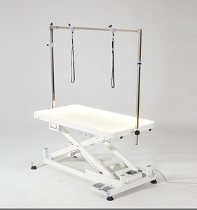 Stainless Steel Luxury Remote Control Light Table Socket Hook Design Electric Luminous Lifting Pet Grooming Table YM-D001LP - Product Image 6