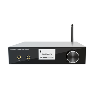 Mini ev Stereo güç amplifikatörü BT 5.0 düşük fiyat Karaoke ses USB <span class=keywords><strong>RCA</strong></span> HDM I ark LAN Fiber optik giriş 50W çıkış gücü - Product Image 2