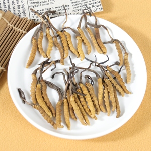 100% bubuk Herbal jamur kering kualitas tinggi alami Tibet Sinensis kordyceps yang dimurnikan liar kualitas makanan organik dalam kaleng - Product Image 4