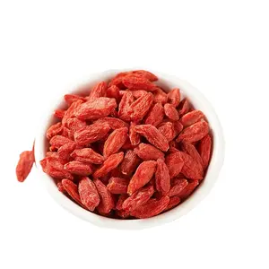 Chinese famous dried fruit tea goji berry organic Red Wolfberry fruit tea from Ningxia