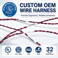 Harnais pour haut-parleur, Harnais audio pour haut-parleur, Harnais personnalisé, Harnais audio pour appareil intelligent, Harnais pour haut-parleur OEM personnalisé pour ordinateurs portables
