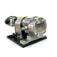 Pompe doseuse à engrenages de haute précision en fer/SUS304/SUS316 avec servomoteur pour distribution de liquides visqueux, fabriquée en Chine