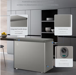 Congélateur domestique à compresseur électrique Haier 201L, classe énergétique A, capacité de congélation de 10 kg/12h pour la crème glacée, l'hôtel, l'extérieur - Product Image 2