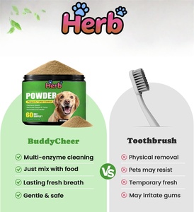 ODM/OEM Pet <b>Probiotic</b> Powder Digestive Health Supplement <b>for</b> <b>Dogs</b> Cats Support Gut Balance - Product Image 3