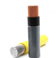 Cable eléctrico Tamaño del cable AWG 4 6 8 10 12 14 Cobre trenzado Nylon Eléctrico THWN THHN Cable de construcción