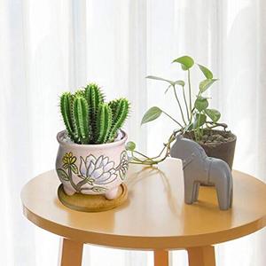 4.5 pollici Dipinta A mano di Grandi Dimensioni In Ceramica Succulente Planter Vaso di <span class=keywords><strong>Fiori</strong></span> Moderna Scrivania <span class=keywords><strong>Cactus</strong></span> erba Fiore <span class=keywords><strong>con</strong></span> Vassoio di Bambù Coperta - Product Image 4