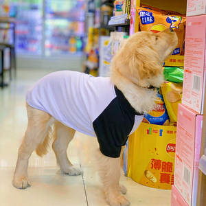 Gilet d'entraînement respirant pour chien de grande race, pour Golden Retriever, Samoyed, Labrador et autres races moyennes à grandes - Product Image 5