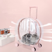 Sac pour chat de compagnie Trolley Case Transparent Cat Bag Go Out Portable Cat Portable Transparent Air Box