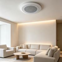 CS-804 Haut-parleur PA à large bande invisible et économique pour installation encastrée dans les murs, profil bas, discret pour plafond