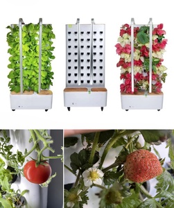 2025 première version système de culture verticale intelligent maison hydroponique jardinage Solution nutritive recyclage plantation verticale - Product Image 5