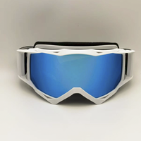 Lunettes de ski à la mode en plein air moto coupe-vent et anti-poussière lunettes de protection RD-1904