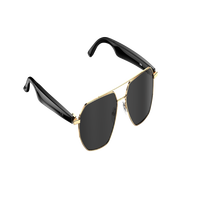 Lunettes Intelligentes W100C Assistant IA Lecteur de Musique Appels Vocaux et Téléphoniques Capture Vidéo pour Traduction IP67