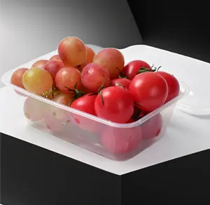 Hot Selling Heatable Microwavable Bento Box Food Grade PP Disposable Rectangle Food Container With Lid