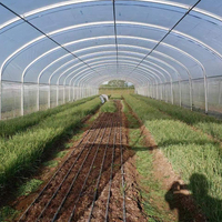 Serre commerciale agricole à travée unique GT Serre à tunnel