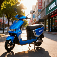 Nouvelle Moto Électrique 2026 pour Adultes, 1000W 60V20Ah, Freins à Disque Doubles, Phare LED, Moto Électrique Portable pour Trajets Quotidiens