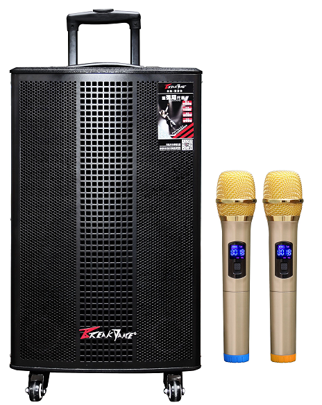 10" Woofer 240W Portable Trolley Karaoke Speaker with Wireless Mic for USB & Recording Plastic & Metal for Parties