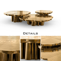 Table basse moderne de luxe avec finition laiton poli et placage en bois blanc, design contemporain pour salon élégant