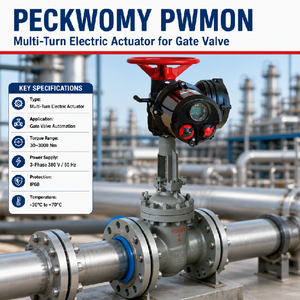 Actionneur industriel multi-tours Modbus Hart IP68 série Pwmon Peckwomy - Product Image 3