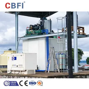 20ft Containerized Complete Industrial Flake Ice Maker Making Machine with Ice Storage for Sales
