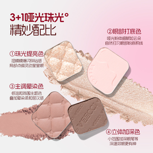 Prix de gros VEECCI – Palette de fards à paupières classiques quad, poudre fine couleur terre - Product Image 6