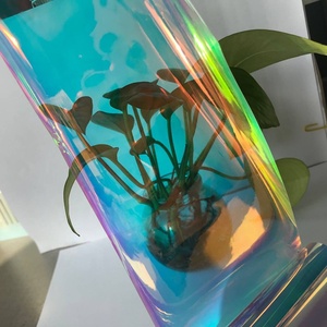 <span class=keywords><strong>Feuille</strong></span> <span class=keywords><strong>de</strong></span> film holographique transparente en TPU, dichroïque, arc-en-ciel, pour la fabrication <span class=keywords><strong>de</strong></span> sacs, <span class=keywords><strong>de</strong></span> vêtements, <span class=keywords><strong>de</strong></span> chaussures et d'acrylique - Product Image 2