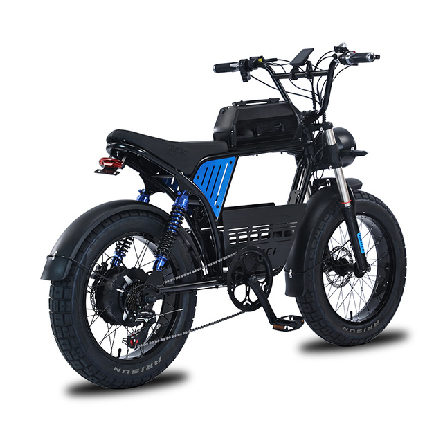 48V 1500W Electric Mountain Bicycle for Adults 20x4.0 Inch Fat Tire Snow Riding EBike E-bike 250W Motor Power for Dirt Biking