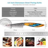 Hoogwaardig 67-laags Damascus staal VG10 kern 3,5 inch schilmesje multifunctioneel fruitmes voor keuken custom dropshipping