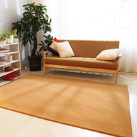 Tapis en polaire corail doux de grande taille, tapis confortable pour le salon, la chambre à coucher, la table basse et la décoration intérieure