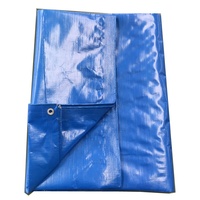 Bâches imperméables bleues multifonctions de qualité supérieure fabriquées en Chine pour camions