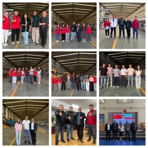 Máquina Automática para Tostar Nueces, Chiles Secos, Cacahuetes, Alta Capacidad, Fácil Operación, Producción Personalizable - Product Image 5