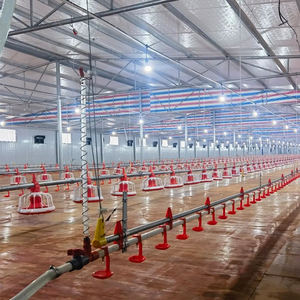 Nouveau système d'élevage avicole linéaire automatique en plastique pour poulets, avec mangeoire et poulailler complet, système d'alimentation pour poulets de chair - Product Image 5