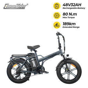 Vélo électrique Chamrider DTS425 48V32AH à longue autonomie, grande capacité, cadre en acier gris, assistance à la pédalage, vélo de <span class=keywords><strong>livraison</strong></span> pour les trajets en ville - Product Image 1