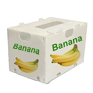 Folding Corrugated Plastic Reusable Pp Corrugated Plastic Fruit banana Box Corflute Boxes Plastic Sweet Corn Box