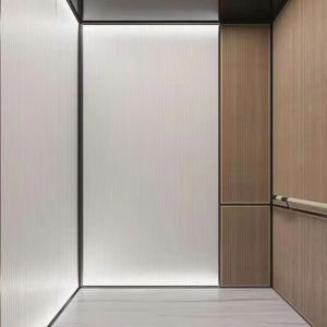 Ascensor Comercial para 14 Personas, Máquina de Tracción, Ascensor de Pasajeros de 1000 kg - Product Image 1