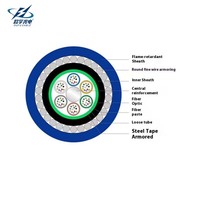 Kabel Serat Optik Bawah Tanah Tahan Api Single Mode 4~96 Core MGTS33 Berlapis Baja untuk Komunikasi Pertambangan