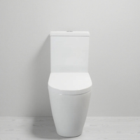WC à Poser en Céramique Blanc avec Chasse Double Vortex Sans Bride, Toilette Lavante Deux Pièces pour Salle de Bain