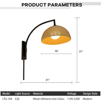 Lampe murale LED en forme de glycine, éclairage d'intérieur pour salon, personnalisation créative, installation facile