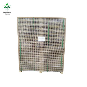 Rỗng ván cửa kích thước ván dăm hình ống rỗng ván cho lõi cửa nội thất - Product Image 3